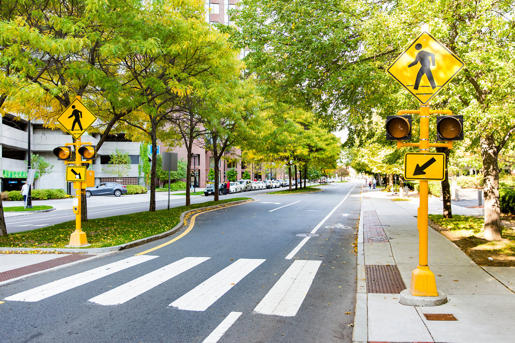 pedestrian crossing in the city. traffic sign and traffic lights